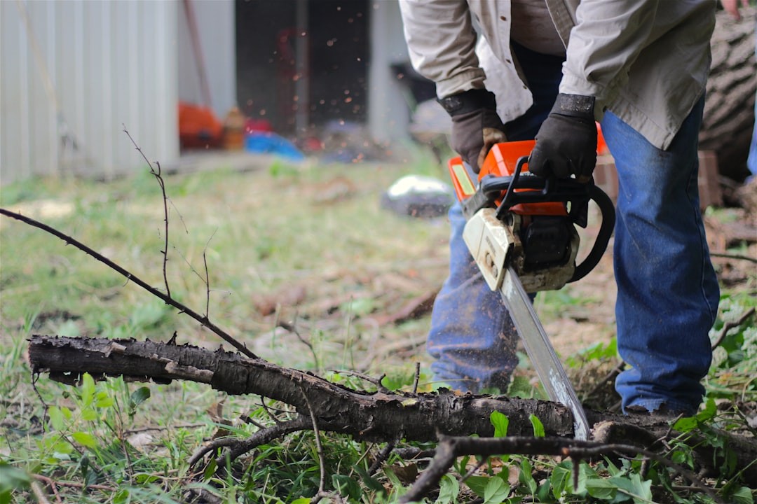 a man cutting a tree with a chainsaw